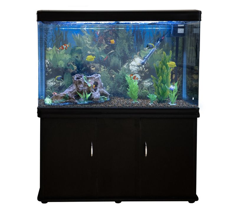 Aquarium 300 L En Noir Avec Meuble, Gravier Naturel et Accessoires