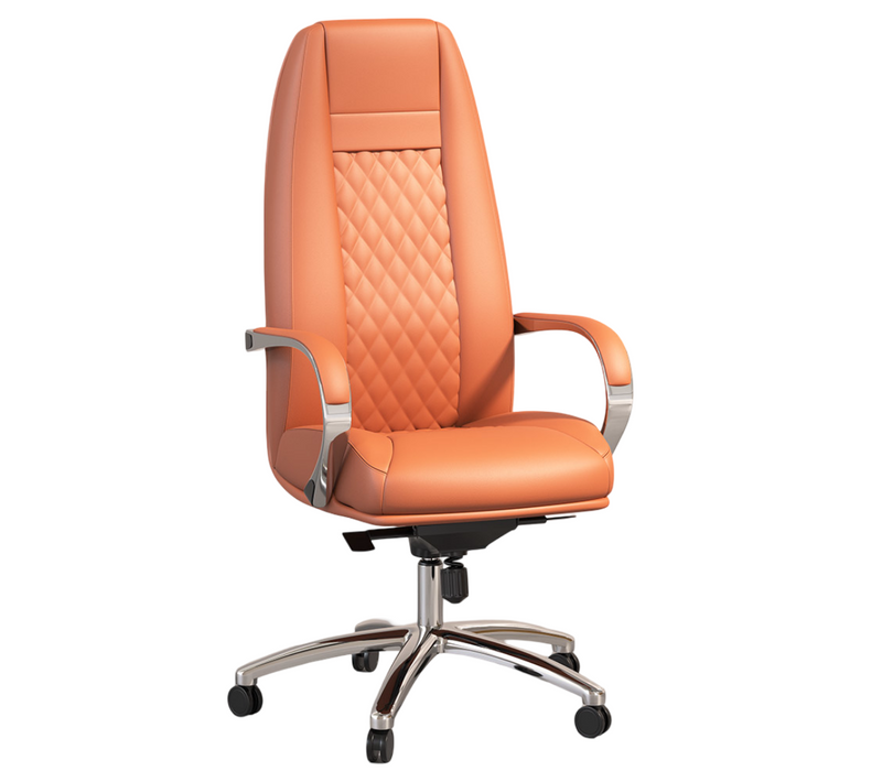 Chaise De Bureau Ergonomique Avec Roulettes Et Accoudoirs - Studio Marron