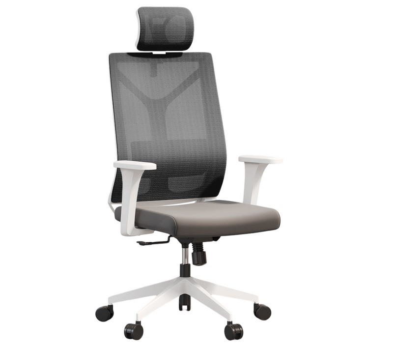 Chaise De Bureau Ergonomique Avec Roulettes Et Accoudoirs - Sembra Gris