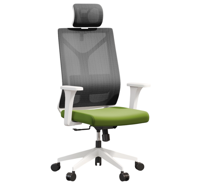 Chaise De Bureau Ergonomique Avec Roulettes Et Accoudoirs - Sembra Vert