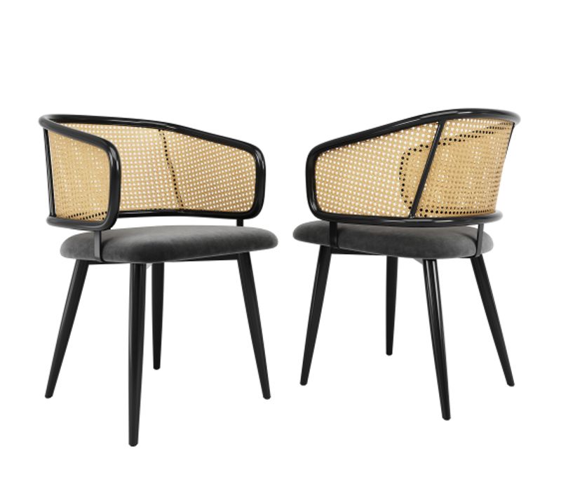 2 Chaises De Table-avec Dossier En Rotin-coussins D'assise En Velours-salons Et Cafés-gris