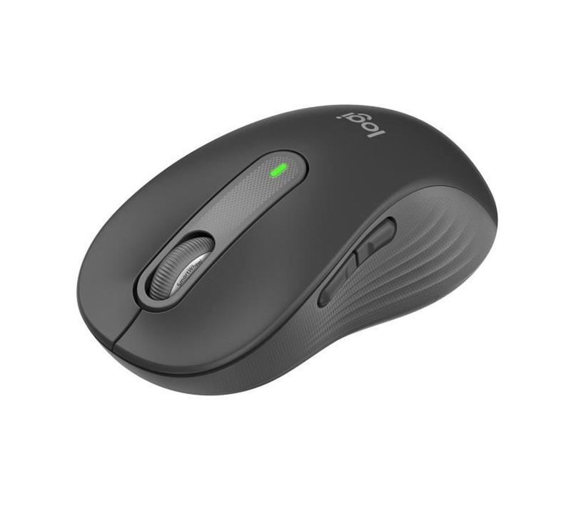 Souris - Sans Fil - Signature M650 L - Graphite - Droitier