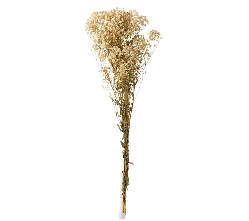 Bouquet De Fleurs "gypsophile Séché" 84cm écru