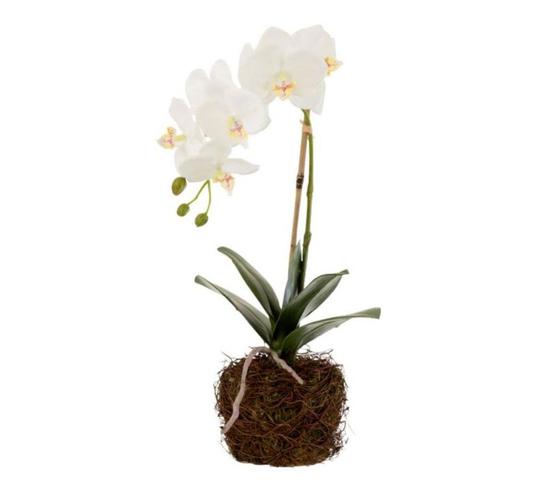 Fleur Artificielle Déco "orchidée En Terre" 40cm Blanc