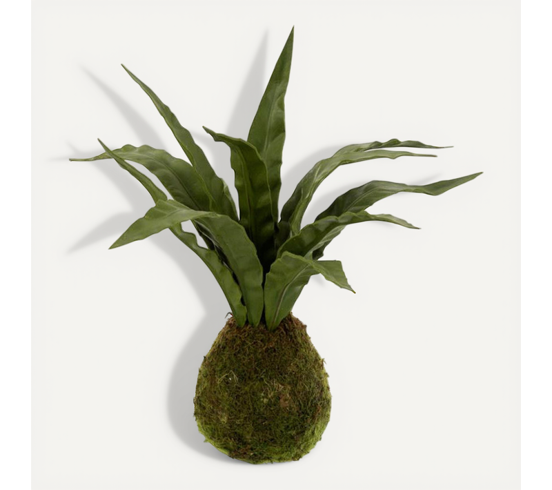 Plante Artificielle "langue Belle-mère" 40cm Vert