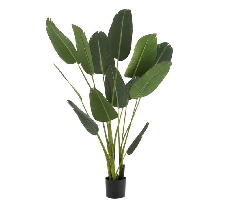 Plante Artificielle En Pot "strelitzia" 189cm Vert