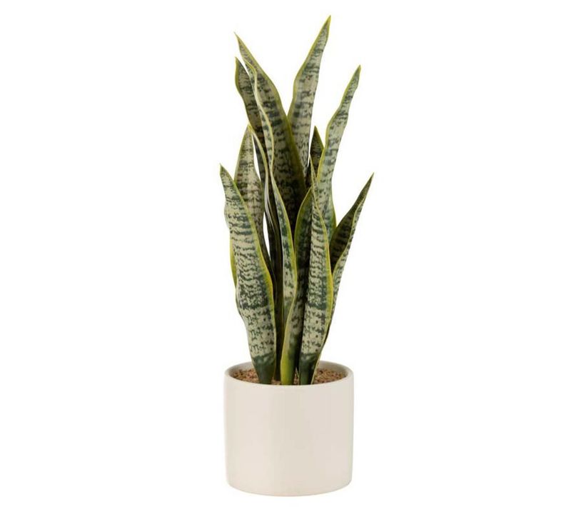 Plante Artificielle En Pot "sansevieria" 37cm Vert