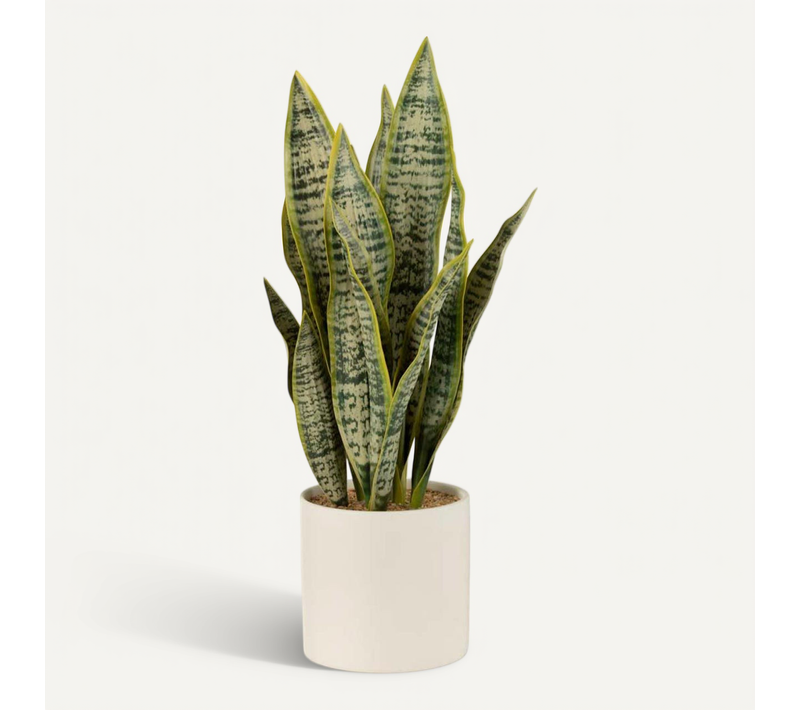 Plante Artificielle En Pot "sansevieria" 49cm Vert