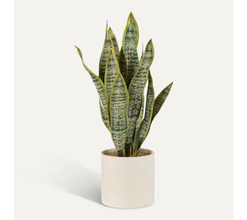 Plante Artificielle En Pot "sansevieria" 60cm Vert