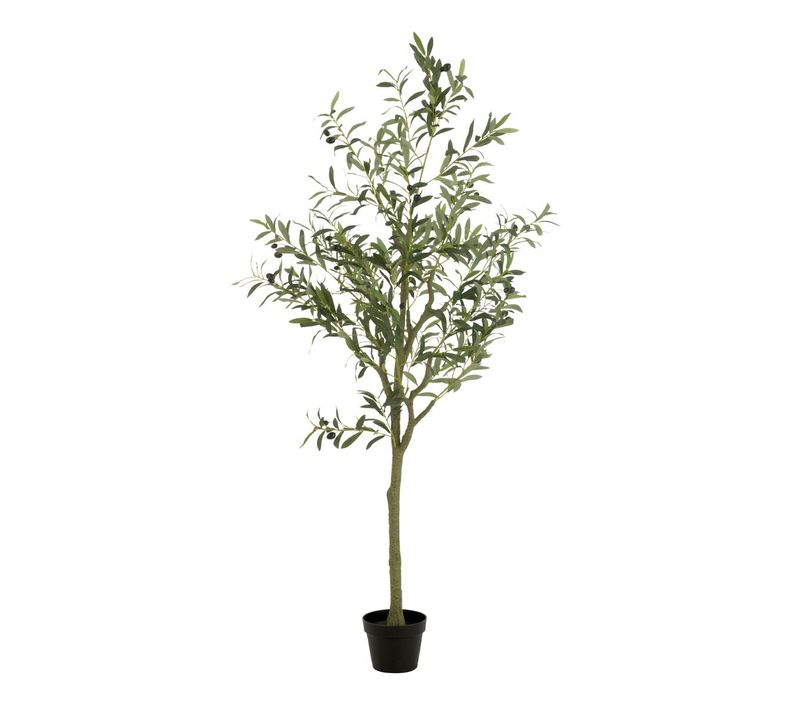 Plante Artificielle En Pot "olivier" 180cm Vert
