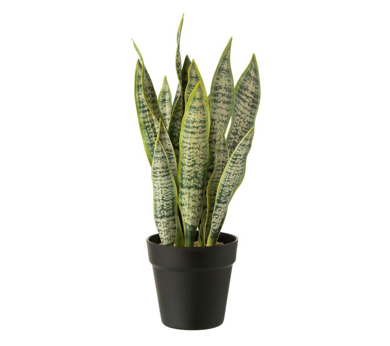 Plante Artificielle En Pot "dracaena Trifasciata" 47cm Vert