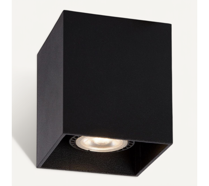 Bodi Spot Plafond - Noir - 1xgu10