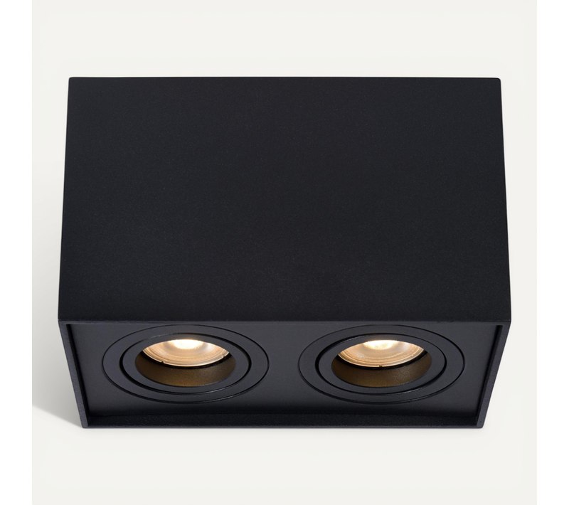 Tube Spot Plafond - Noir - 2xgu10