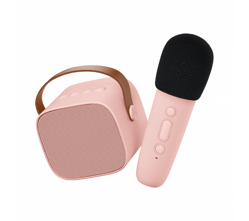 Enceinte Karaoké Sans Fil Rechargeable Rose