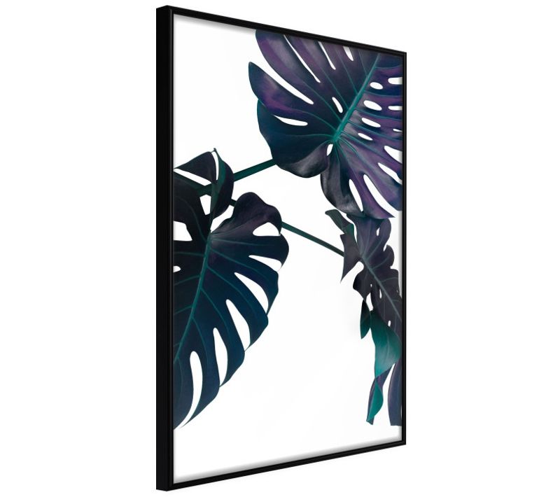 Affiche Murale Encadrée "evergreen Monstera" 21 X 30 Cm Noir