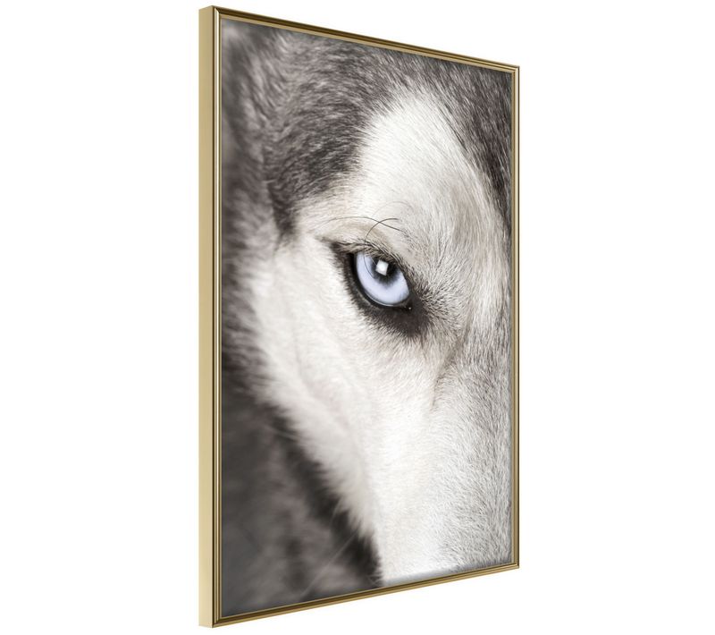 Affiche Murale Encadrée "azure Eye" 30 X 42 Cm Doré