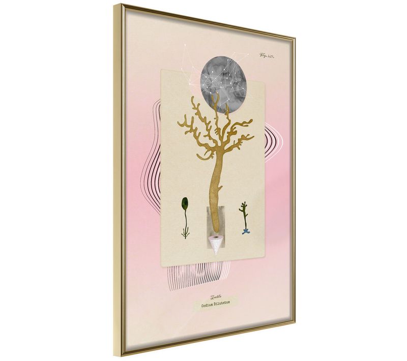 Affiche Murale Encadrée "aquatic Plant" 21 X 30 Cm Doré
