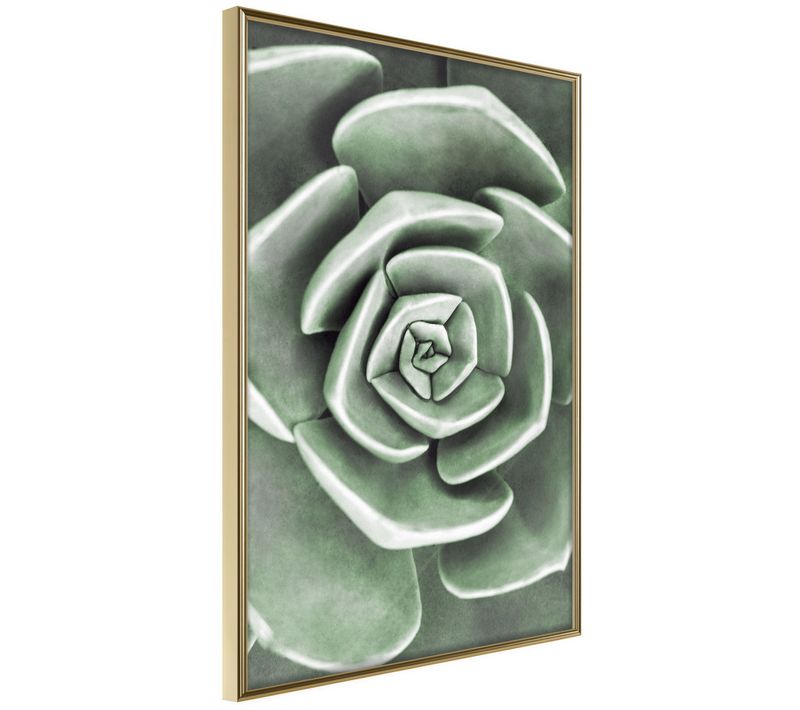 Affiche Murale Encadrée "robust Plant" 21 X 30 Cm Doré