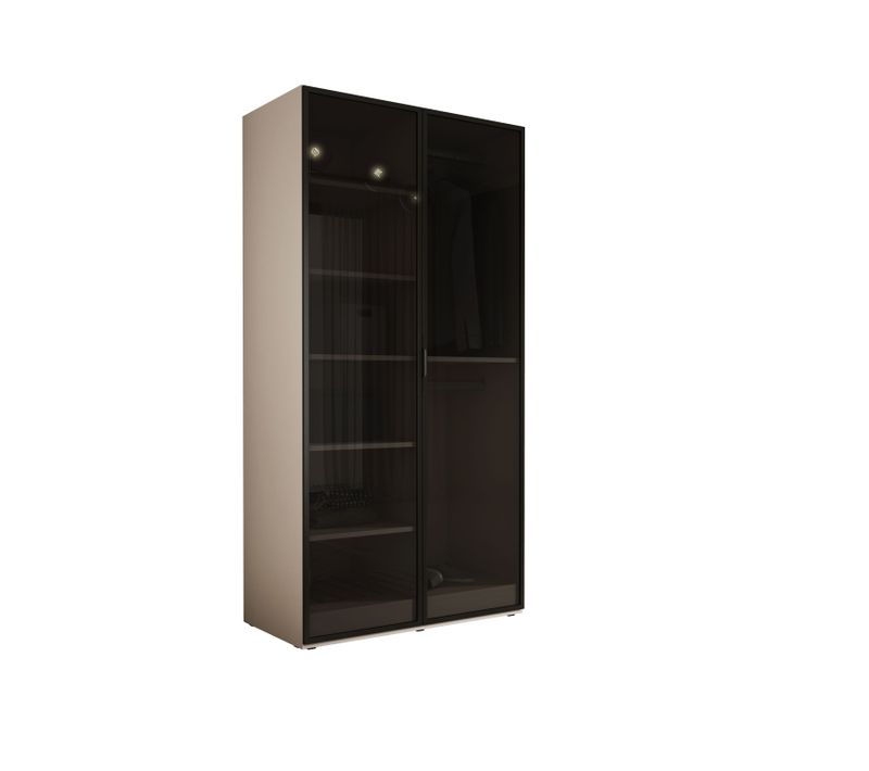 Armoire : Beige Sable / Verre Antisol, 100 X 200 X 51 Cm