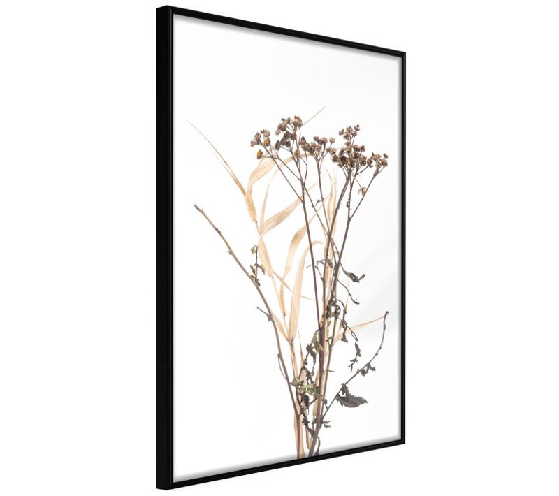 Affiche Murale Encadrée "diary Of à Herbalist" 30 X 42 Cm Noir