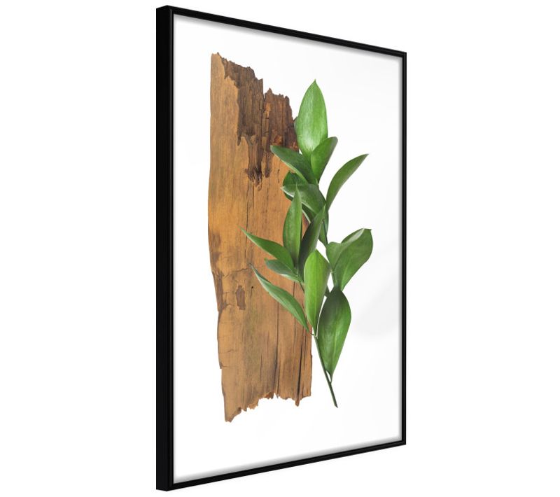 Affiche Murale Encadrée "forest Bouquet" 40 X 60 Cm Noir