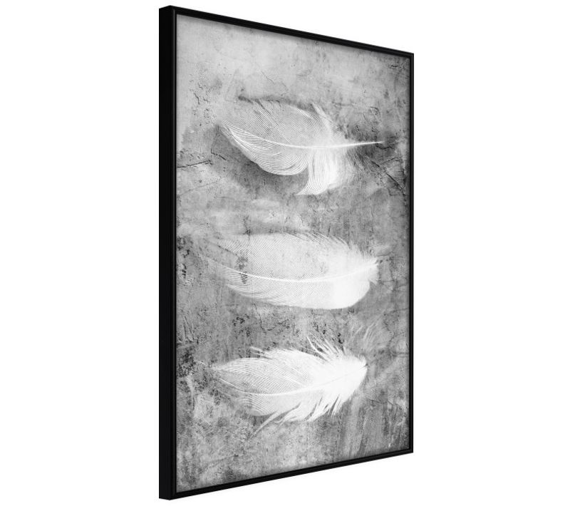 Affiche Murale Encadrée "delicate Feathers" 30 X 42 Cm Noir