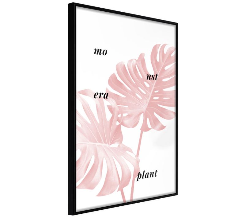 Affiche Murale Encadrée "pale Pink Monstera" 40 X 60 Cm Noir