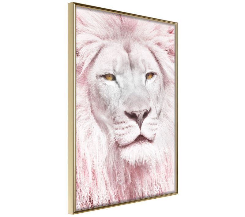 Affiche Murale Encadrée "dreamy Lion" 40 X 60 Cm Doré