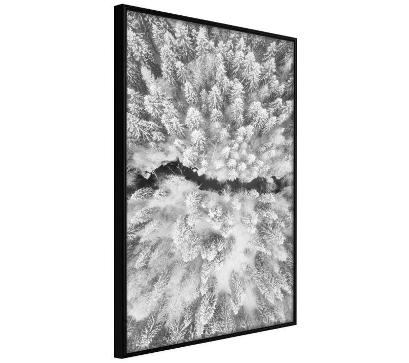 Affiche Murale Encadrée "frost Land" 40 X 60 Cm Noir