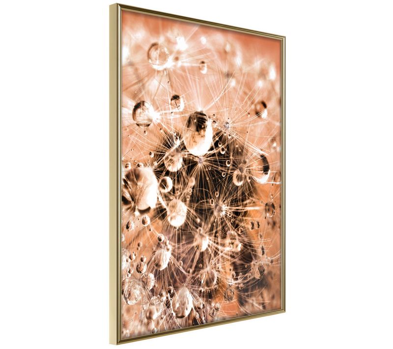Affiche Murale Encadrée "drops On Dandelion" 40 X 60 Cm Doré