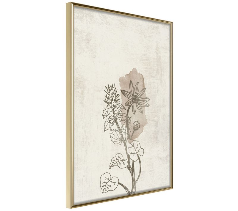 Affiche Murale Encadrée "life Of Plants" 30 X 42 Cm Doré