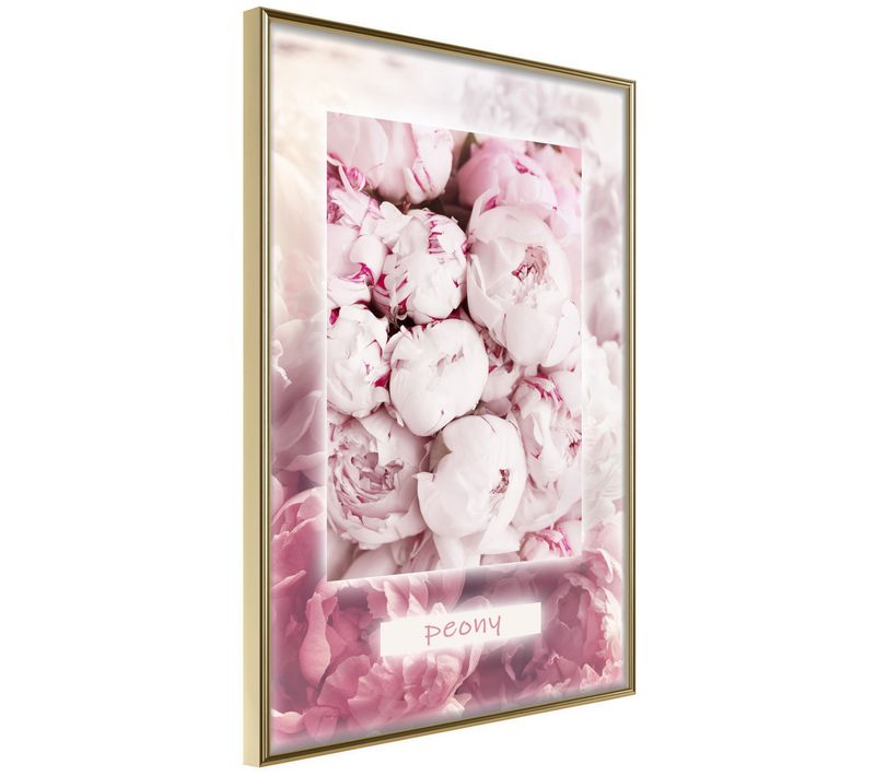 Affiche Murale Encadrée "scent Of Peonies" 30 X 42 Cm Doré