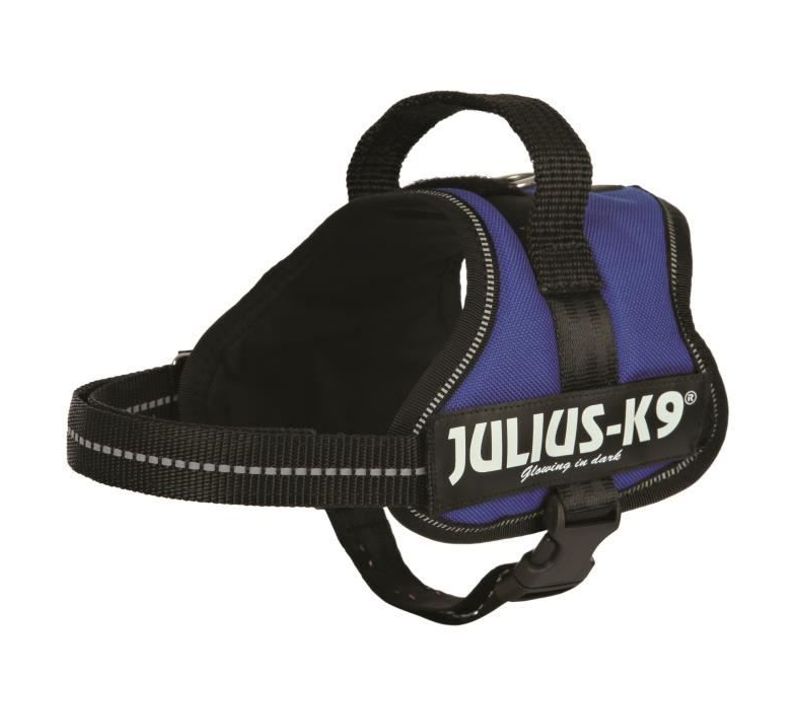 Harnais Power Mini-mini S : 40-53 Cm-22 Mm Bleu Pour Chien
