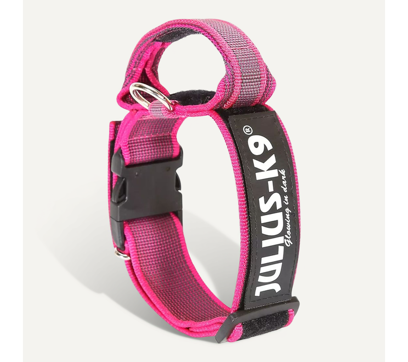 Collier Pour Chiens 50 Mm 49-70 Cm Rose 200ha-k-2015