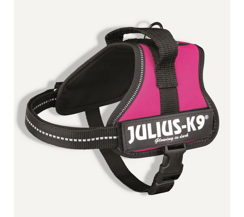 Harnais Power Mini-mini S : 40-53 Cm-22 Mm Fuchsia Pour Chien