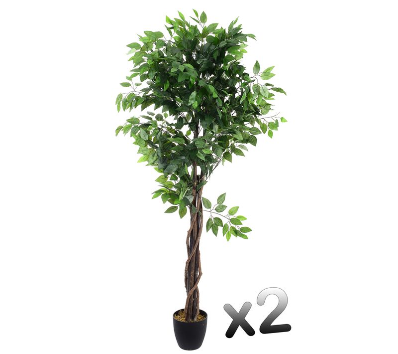 Lot De 2 Plantes Artificielles Ficus Pot, Hauteur 180 Cm