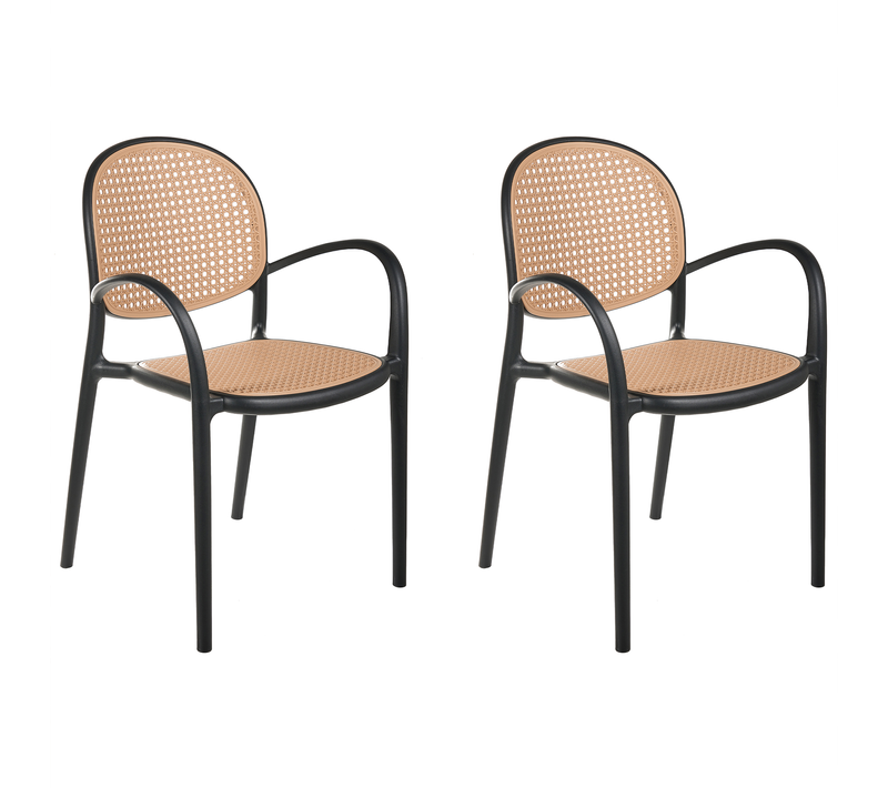 Lot De 2 Chaises De Jardin - Chaises D'extérieur Povoletto Matière Synthétique Noir