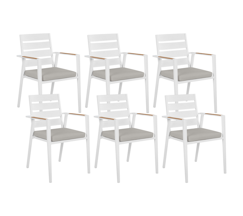 Lot De 6 Chaises De Jardin - Chaises D'extérieur Avec Coussins Taviano Métal Gris