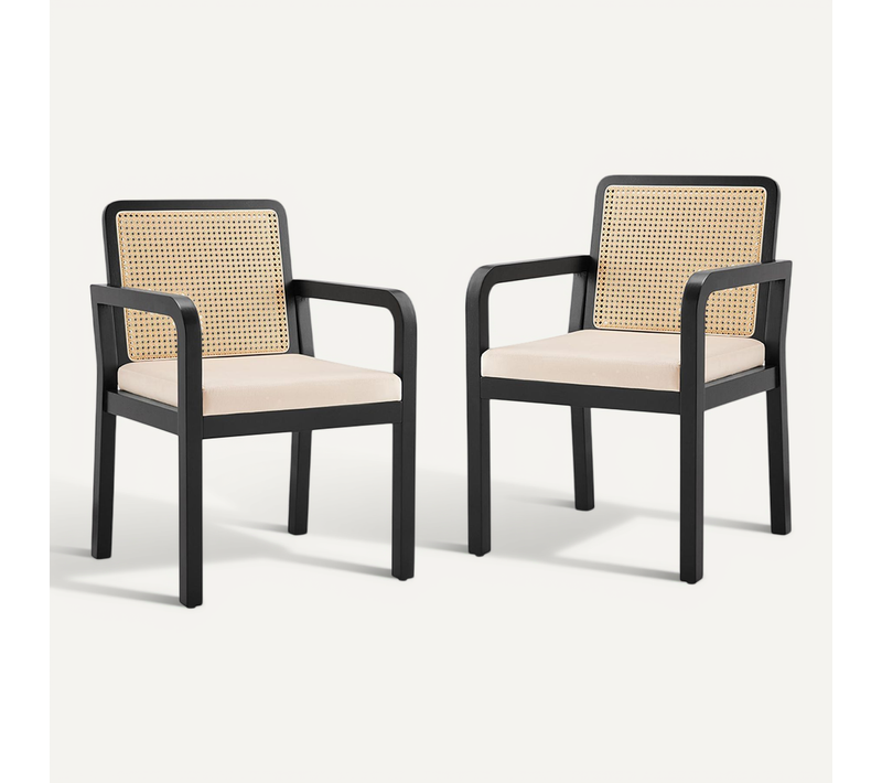 Chaises De Salle à Manger (2 Pièces), Revêtement En Velours, Dossier En Rotin Tressé, Noir