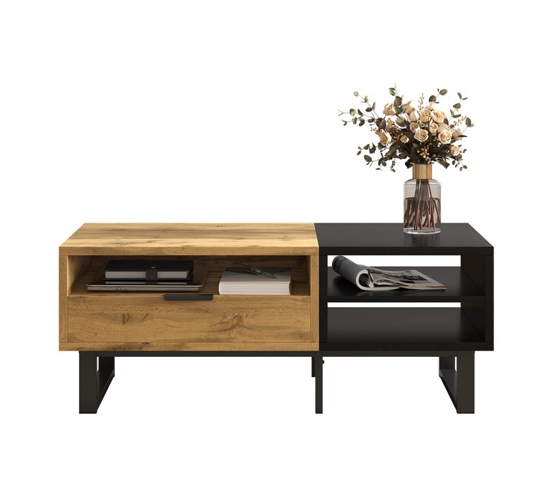 Table Basse Table De Salon - 100x50x40cm Bois Panneaux De Particules