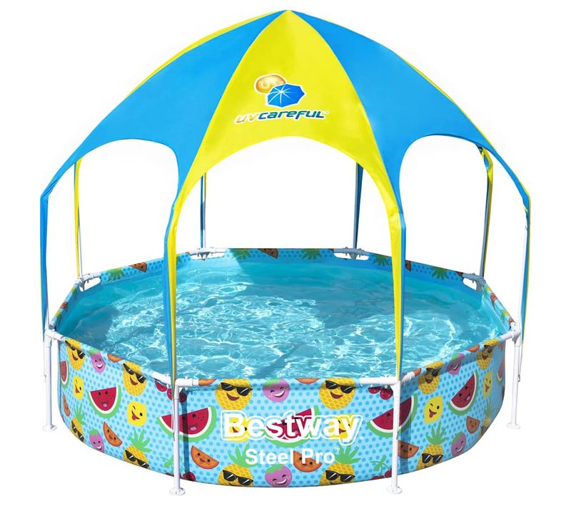 Piscine Avec Auvent 244 X 51 Cm 56432