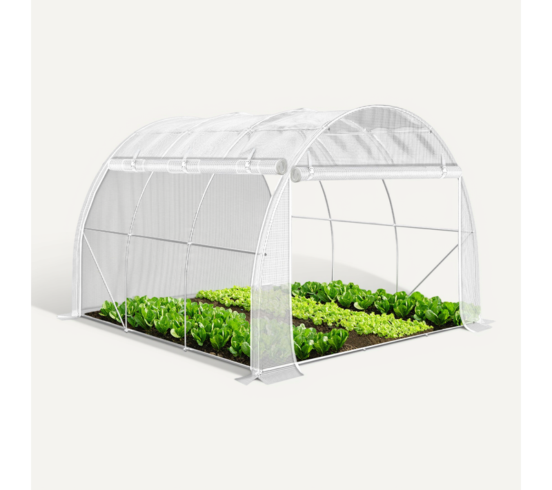 Serre De Jardin Toute Saison 9m2 Avec Portes Laterales