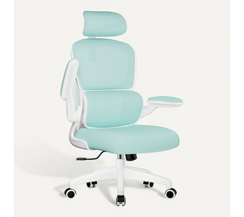 Fauteuil De Bureau, Accoudoirs Pliable, Inclinable, Soutien Lombaire Ergonomique,turquoise