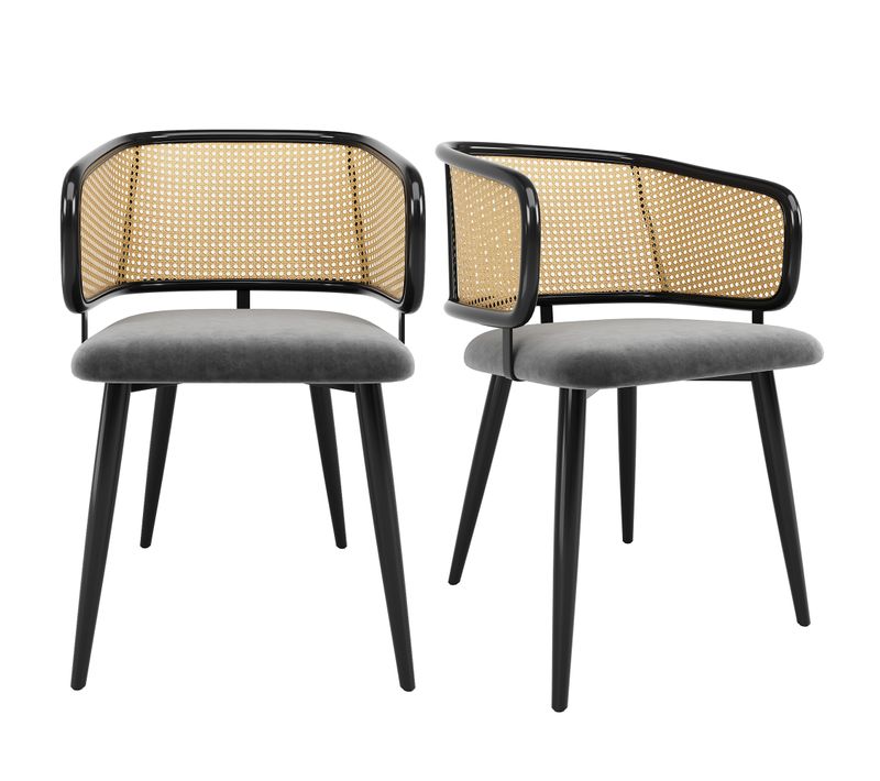 Chaises Salle à Manger Rotin Et Velours 2 Pièces Coussin Doux, Style Moderne Et Aéré