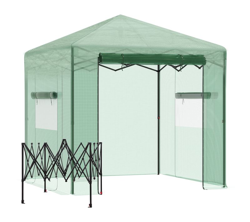Serre En Acier Pe Avec Porte Et Fenêtre Enroulable Pour Culture Optimale Des Plantes, Vert