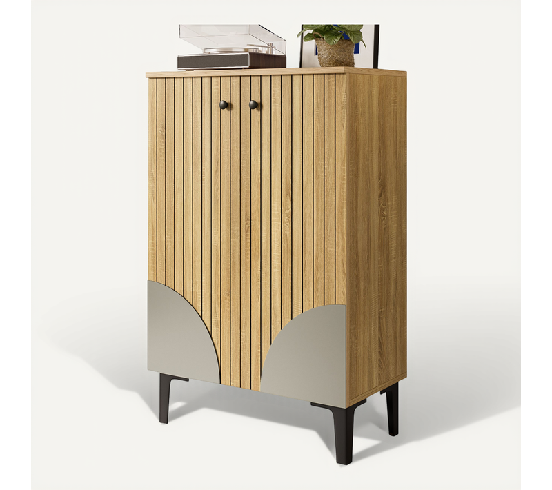 Meuble à Chaussures Moderne En Bois Avec Portes Et étagères Pratiques
