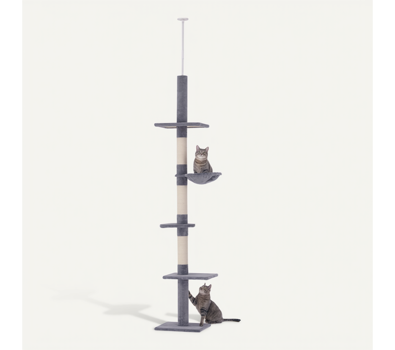 Arbre à Chat Ajustable Hauteur Plafond Avec Sisal Et Plateformes, 230-260 Cm