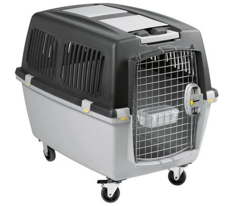 Caisse De Transport Homologuée Avion Gulliver Mega 81x61x60 Cm - Plastique, Porte Métal