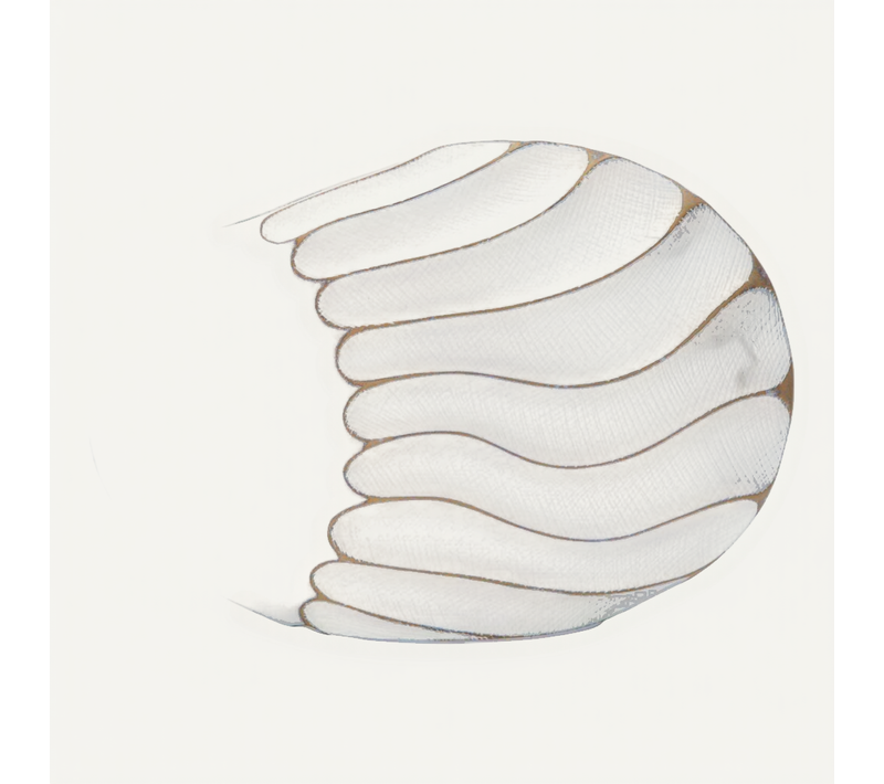 Vase Design En Relief "lines" 34cm Blanc