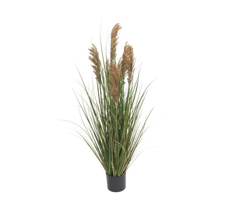 Plante Artificielle Herbe De La Pampa Cortaderia Ravok 120x70x70 Cm